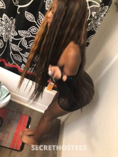 19Yrs Old Escort Dallas TX Image - 3