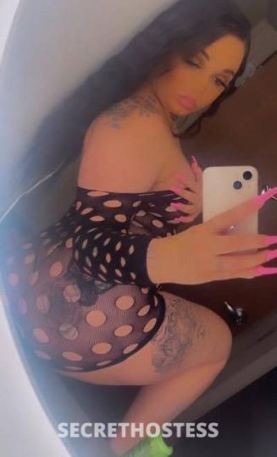 24Yrs Old Escort Houston TX Image - 1