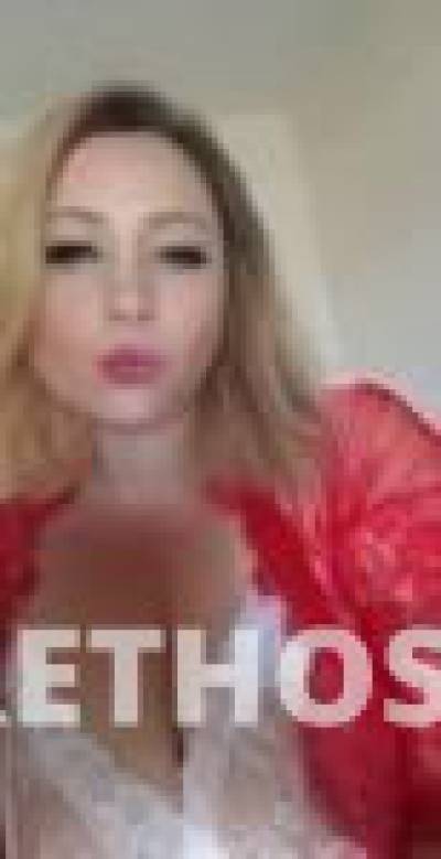 CaliRose 32Yrs Old Escort Boulder CO Image - 8