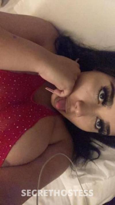 Devine 21Yrs Old Escort San Diego CA Image - 4