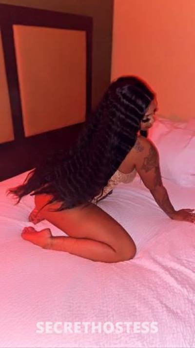 Dream 24Yrs Old Escort Phoenix AZ Image - 5