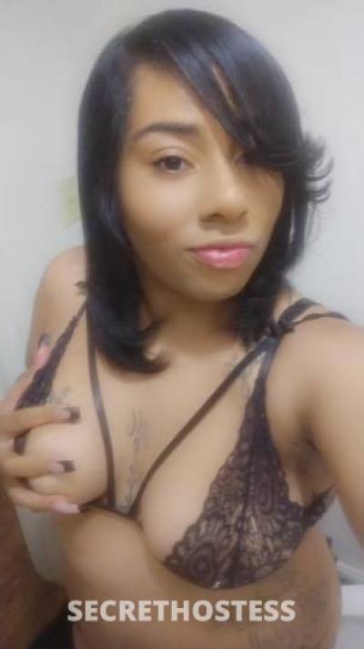 Jocelyn 26Yrs Old Escort Pittsburgh PA Image - 0