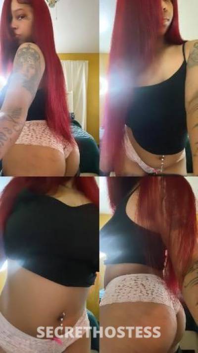 MyaLove 22Yrs Old Escort Monterey CA Image - 1