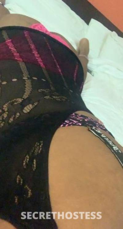 28 year old Escort in Concord CA CONCORD ? BBW BUNNY?- OUTCALL -100 ? CAR DATE? SPECIAL