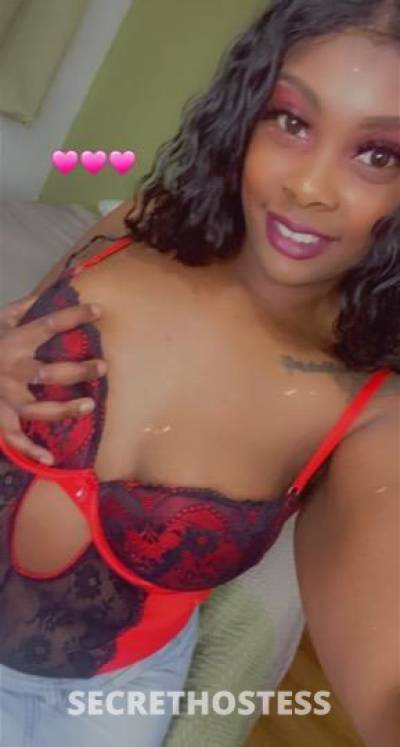 Stacy 24Yrs Old Escort Visalia CA Image - 9