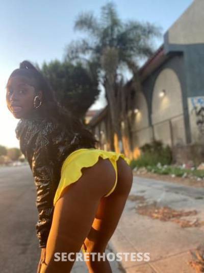 19 year old American Escort in Los Angeles CA your tiny pleasure
