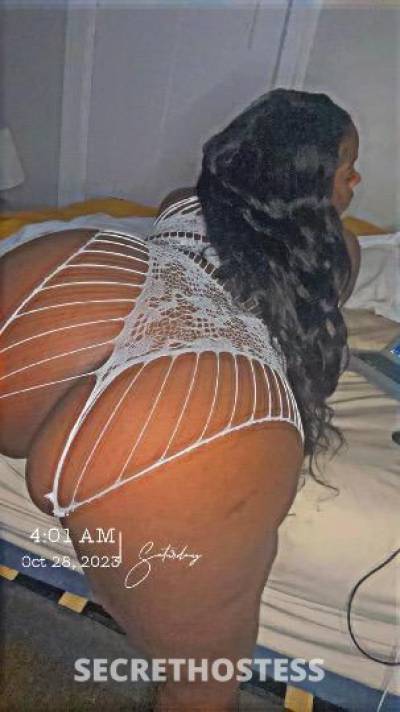 28Yrs Old Escort Pensacola FL Image - 3