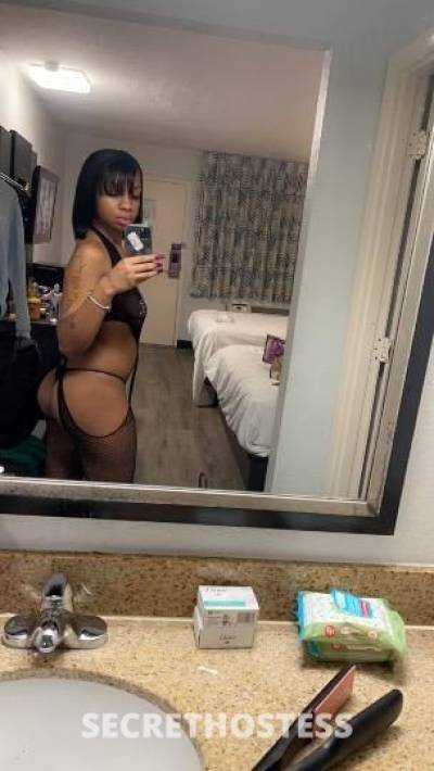 $exxyKitty 20Yrs Old Escort North Mississippi MS Image - 1