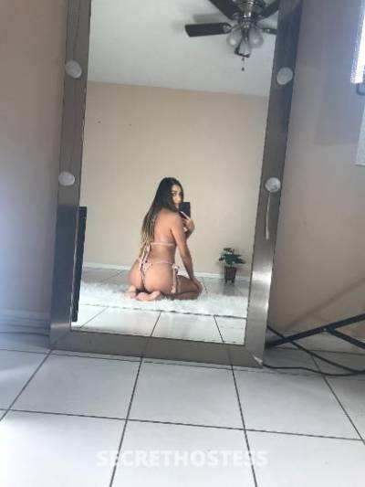 25Yrs Old Escort Miami FL Image - 2