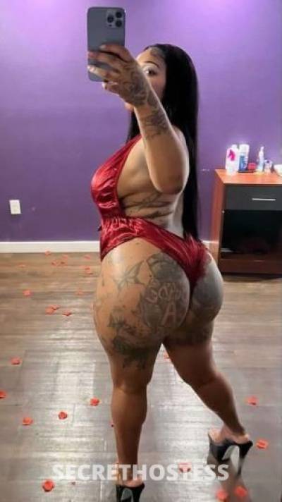 28Yrs Old Escort Little Rock AR Image - 1