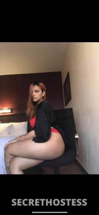 ASIA 27Yrs Old Escort Long Island NY Image - 5