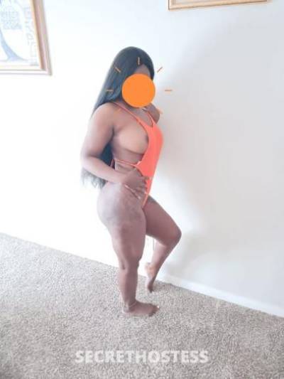 Alyson 26Yrs Old Escort Houston TX Image - 1