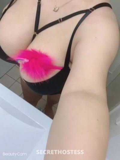 Annie 28Yrs Old Escort Brisbane Image - 6