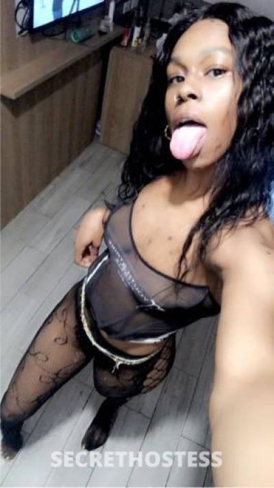 BlueTavi 21Yrs Old Escort Queens NY Image - 5