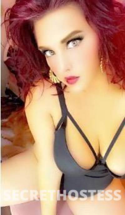 BritneyBardot 31Yrs Old Escort Saint Louis MO Image - 10