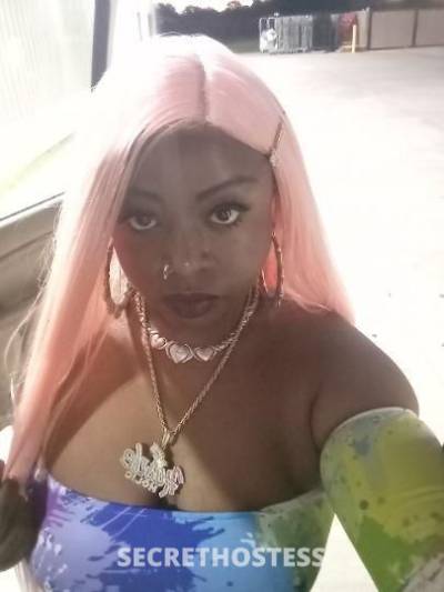 CARAMELSUNDAE 26Yrs Old Escort Killeen TX Image - 8