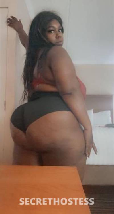 Calli 30Yrs Old Escort Daytona FL Image - 2