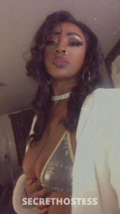 Cinnamon 23Yrs Old Escort Dallas TX Image - 1