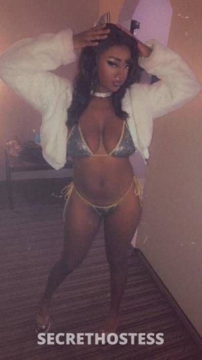 Cinnamon 23Yrs Old Escort Dallas TX Image - 2