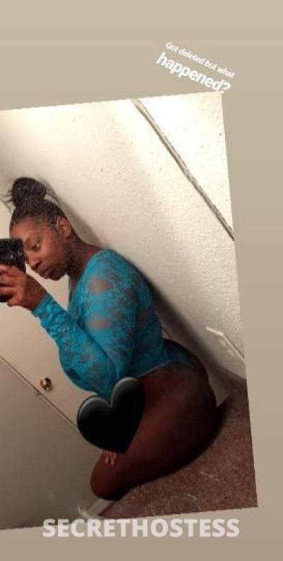 Coco 27Yrs Old Escort Houston TX Image - 2