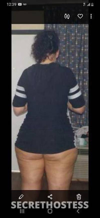 Haley 31Yrs Old Escort Panama City FL Image - 5