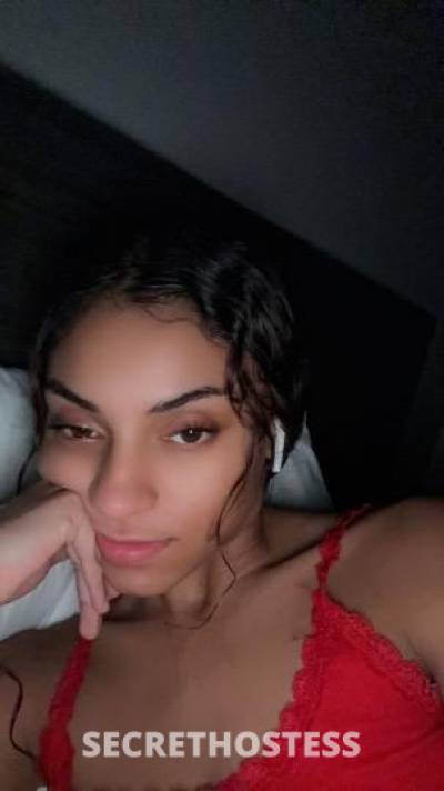 Italy 21Yrs Old Escort Houston TX Image - 3