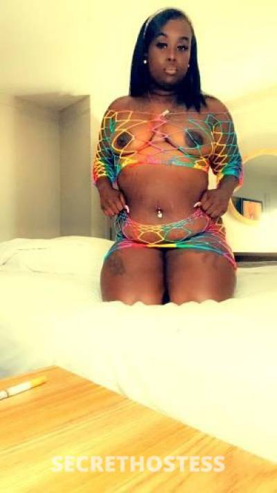 Jadaboo 29Yrs Old Escort Charleston SC Image - 3