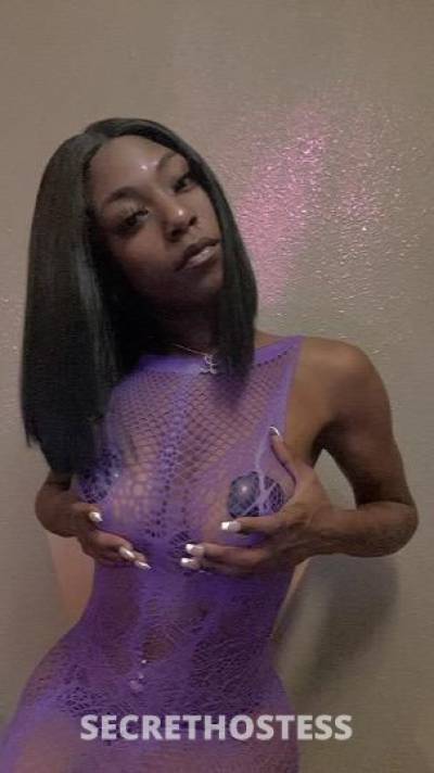 Kandii 21Yrs Old Escort Denton TX Image - 0