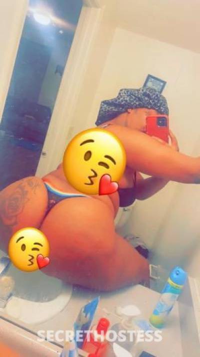 Kash 22Yrs Old Escort Memphis TN Image - 11