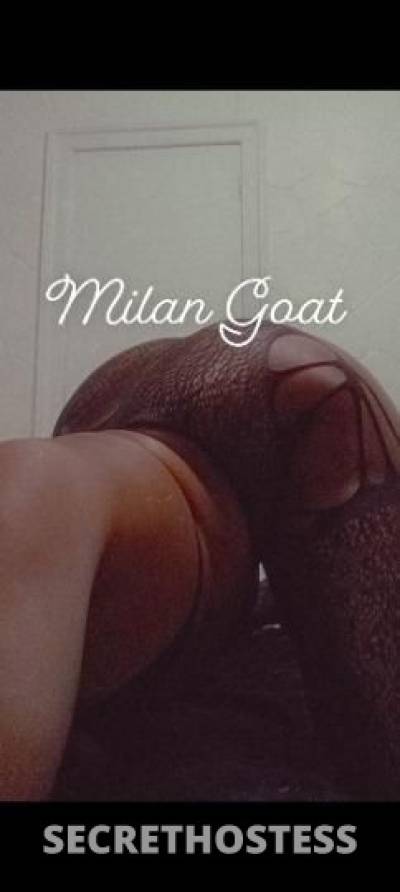 Milan 26Yrs Old Escort 160CM Tall Wilmington DE Image - 5