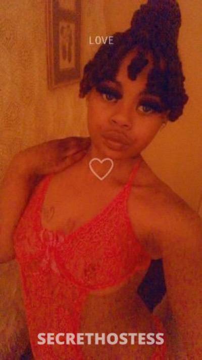 Ms.Cherry 22Yrs Old Escort Saint Louis MO Image - 3