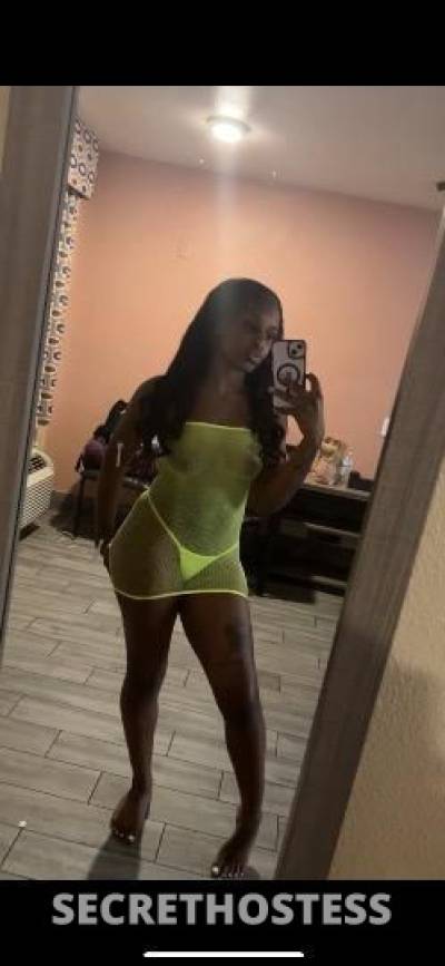 Princess 22Yrs Old Escort Houston TX Image - 4