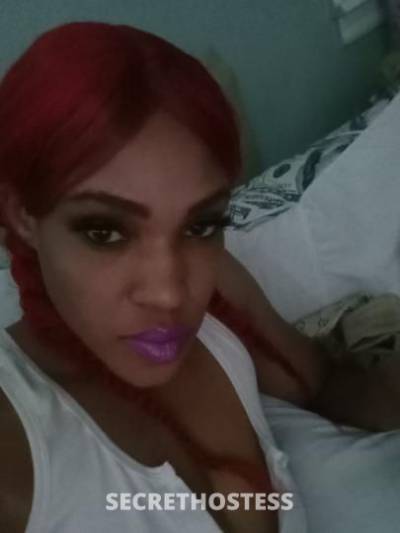 Silk 32Yrs Old Escort Jacksonville FL Image - 3