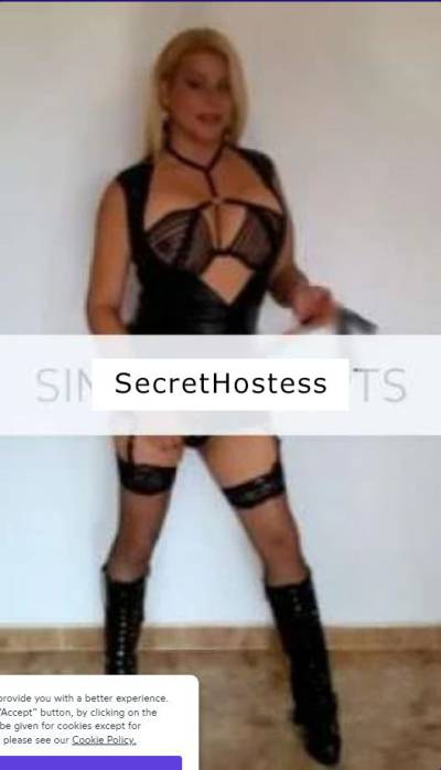 TS Mila 33Yrs Old Escort Limerick Image - 1