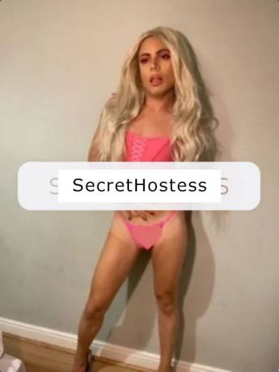 TV Barbie 20Yrs Old Escort Dublin Image - 3
