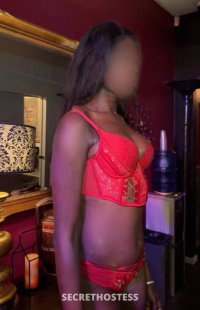 Thea 22Yrs Old Escort Size 8 Melbourne Image - 1