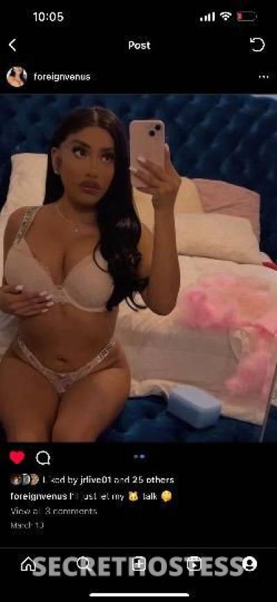 Venus 22Yrs Old Escort Tallahassee FL Image - 8