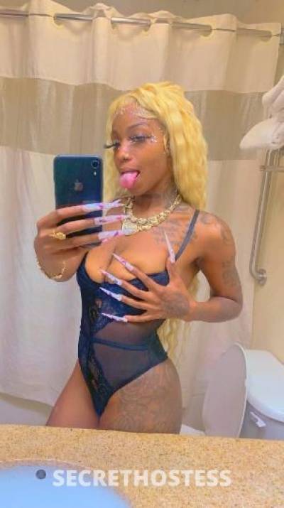 ebony 29Yrs Old Escort Columbia SC Image - 3