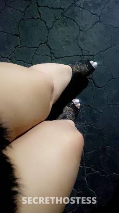 Alexandria 32Yrs Old Escort San Jose CA Image - 9