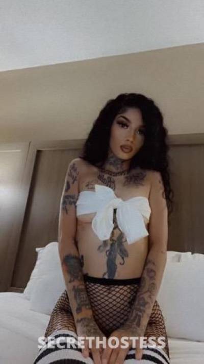 26 year old Escort in El Paso TX Every mans fantasy