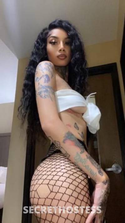Anastasia 26Yrs Old Escort El Paso TX Image - 2