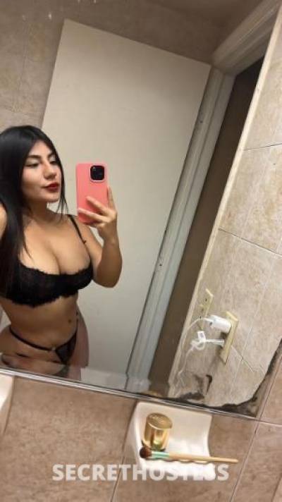 Andrea 23Yrs Old Escort Miami FL Image - 3