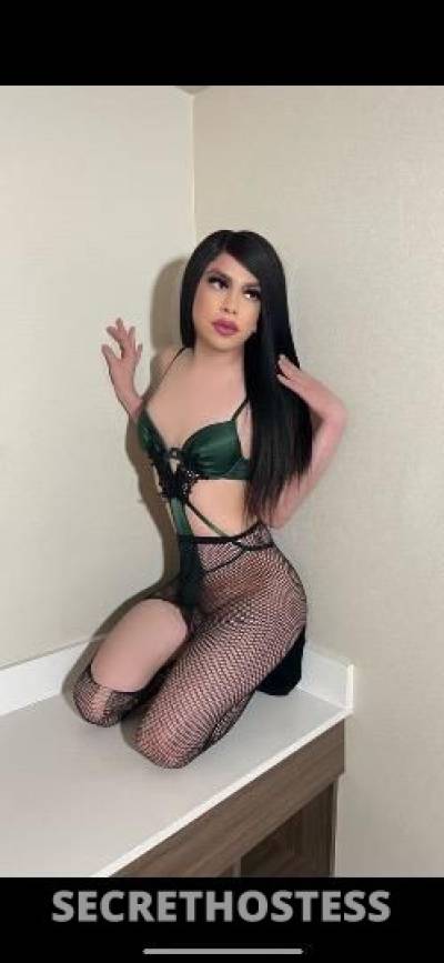 Audrey 21Yrs Old Escort Modesto CA Image - 4