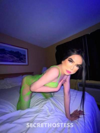 Audrey 21Yrs Old Escort Modesto CA Image - 5