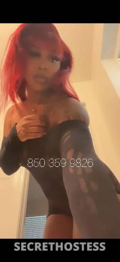 Candy 21Yrs Old Escort Pensacola FL Image - 2