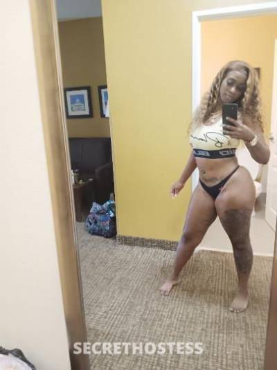 Caramel 26Yrs Old Escort Montgomery AL Image - 1