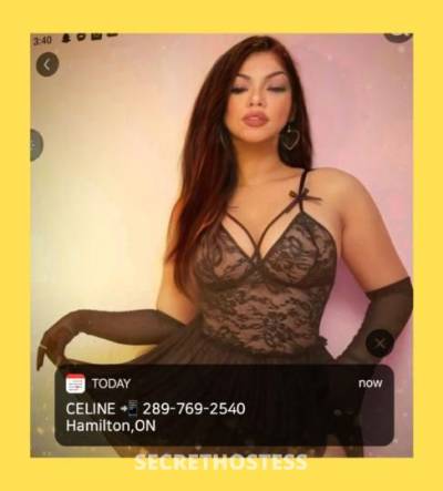 Celine 29Yrs Old Escort Hamilton Image - 10