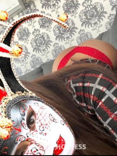 Denny 30Yrs Old Escort Tampa FL Image - 2