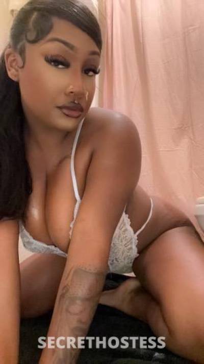 Jasmine 22Yrs Old Escort Concord CA Image - 5