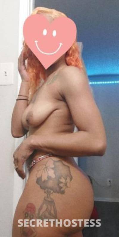 24Yrs Old Escort Dallas TX Image - 2